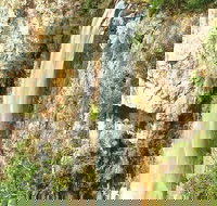 Private Tour - Rainforest  Waterfalls Extravaganza