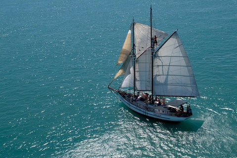 Whitehaven Beach Sailing And Snorkeling Cruise - Newcastle Accommodation 1
