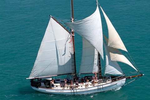 Whitehaven Beach Sailing And Snorkeling Cruise - Newcastle Accommodation 5