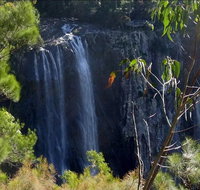 Byron Bay Hinterland Tour Including Rainforest Walk to Minyon Falls - Newcastle Accommodation