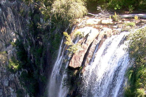 Byron Bay Combo: Hinterland Tour Including Minyon Falls And Kayaking With Dolphins - Newcastle Accommodation 3