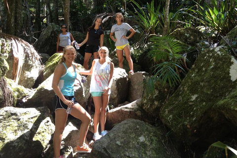 Byron Bay Combo: Hinterland Tour Including Minyon Falls And Kayaking With Dolphins - Newcastle Accommodation 4