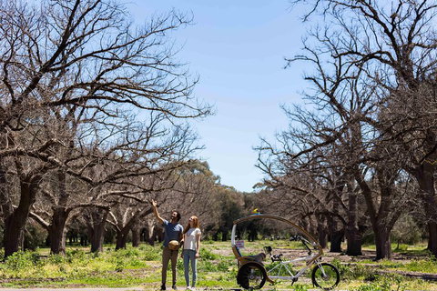 Adelaide 90-Minute Pedicab Tour: Scenic Green & River Experience - New Castle Tourism 1