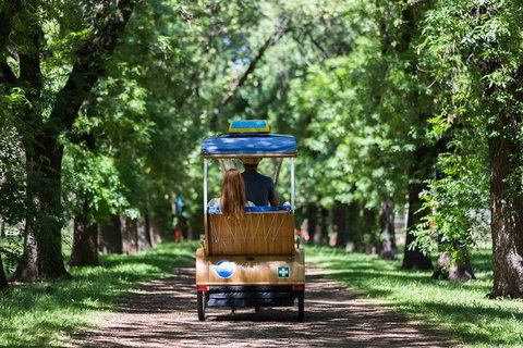 Adelaide 90-Minute Pedicab Tour: Scenic Green & River Experience - New Castle Tourism 2