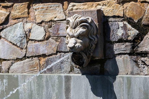 Adelaide 90-Minute Pedicab Tour: Scenic Green & River Experience - New Castle Tourism 3