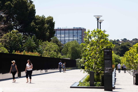 Adelaide 90-Minute Pedicab Tour: Scenic Green & River Experience - New Castle Tourism 4