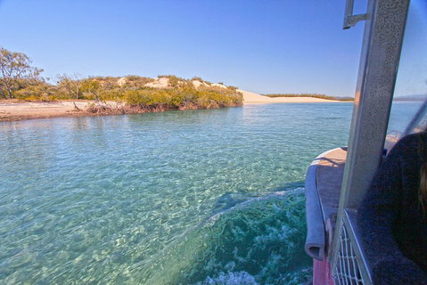 1770 Coastline Tour By LARC Amphibious Vehicle Including Picnic Lunch - Newcastle Accommodation 5
