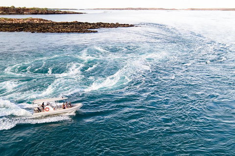 Giant Tides Tour - Cygnet Bay Pearl Farm - Newcastle Accommodation 4