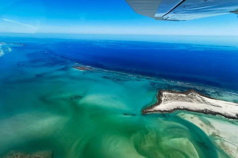 Wet Season Incredible Islands Tour - Horizontal Falls & Cygnet Bay Pearl Farm - Newcastle Accommodation 4