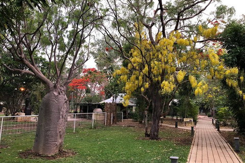 Wet Season Mitchell Falls Tour - Mitchell Falls, Horizontal Falls & Cygnet Bay - Newcastle Accommodation 1