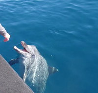 Noosa Thriller - 500hp Ocean Adventure Ride - Newcastle Accommodation