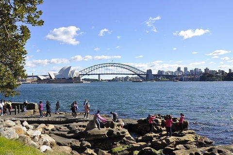 Sydney Sightseeing Bus Tours - Newcastle Accommodation 2