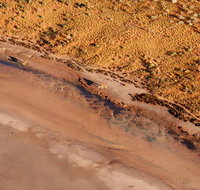 Scenic Flight Lizard Safari - Newcastle Accommodation