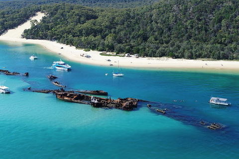 All Inclusive Tangalooma Wrecks Cruise Tour From Gold Coast - Newcastle Accommodation 0