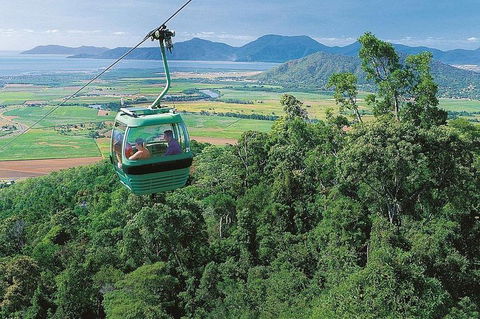 Kuranda Day Tour, TKS-RFS GRAND GOLD PLUS 0930 - Newcastle Accommodation 0