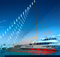 Passions of Paradise Great Barrier Reef Snorkel and Dive Cruise from Cairns by Luxury Catamaran - New Castle Tourism
