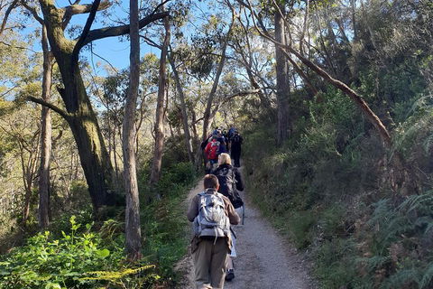 Mount Lofty Hike And Cleland Wildlife Park Day Trip From Adelaide - Newcastle Accommodation 3