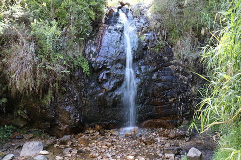 Mount Lofty Hike And Cleland Wildlife Park Day Trip From Adelaide - Newcastle Accommodation 4