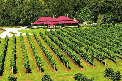 O'Reilly's & Lamington National Park From Brisbane - Newcastle Accommodation 2