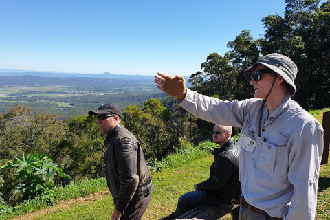 O'Reilly's & Lamington National Park From Brisbane - Newcastle Accommodation 4