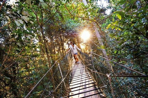 O'Reilly's & Lamington National Park From Brisbane - Newcastle Accommodation 5