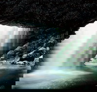 Natural Bridge Glow Worm Night Tour from Gold Coast