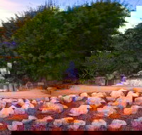 Byron Bay and the Crystal Castle Day Tour from Gold Coast