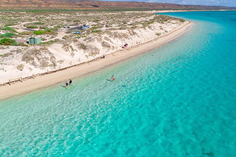 Ningaloo In A Day - Full Day Hike And Snorkel Tour With Lunch - Newcastle Accommodation 0