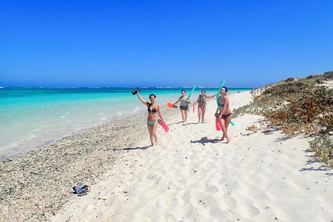 Ningaloo In A Day - Full Day Hike And Snorkel Tour With Lunch - Newcastle Accommodation 1