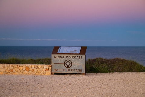Ningaloo In A Day - Full Day Hike And Snorkel Tour With Lunch - Newcastle Accommodation 5