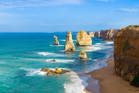 LGBT+ Friendly 3 Day Private Tour Great Ocean Road & Phillip Island - Newcastle Accommodation 4