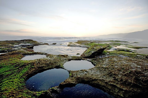 LGBT+ Friendly 3 Day Private Tour Great Ocean Road & Phillip Island - Newcastle Accommodation 5