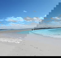 Shipwreck Special Nature Tour/Half Day Tour - Newcastle Accommodation