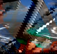 Abrolhos Islands Fixed-Wing Scenic Flight - Newcastle Accommodation