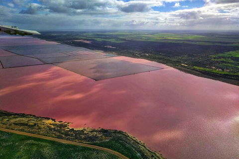 Kalbarri, Pink Lake And Abrolhos Islands Nature Tour - Newcastle Accommodation 1