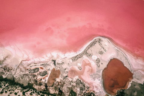 Kalbarri, Pink Lake And Abrolhos Islands Nature Tour - Newcastle Accommodation 2