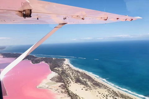 Kalbarri, Pink Lake And Abrolhos Islands Nature Tour - Newcastle Accommodation 4