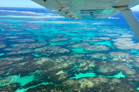 Kalbarri, Pink Lake And Abrolhos Islands Nature Tour - Newcastle Accommodation 5