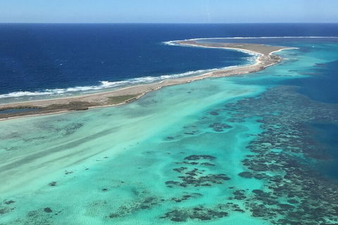 Pink Lake + Abrolhos Islands Nature Tour - Newcastle Accommodation 2
