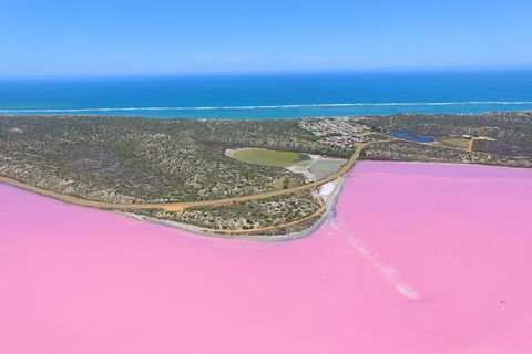Pink Lake + Abrolhos Islands Nature Tour - Newcastle Accommodation 4