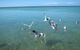 Pink Lake + Abrolhos Islands Nature Tour - thumb 5