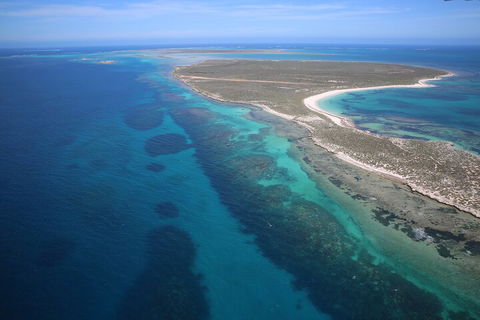 Pink Lake + Abrolhos Islands Scenic Flight - Newcastle Accommodation 0
