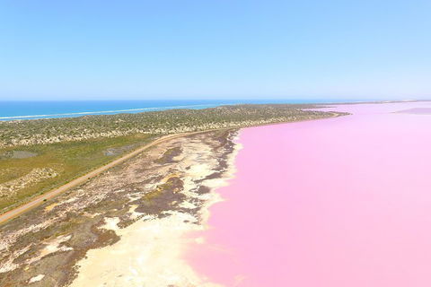 Pink Lake + Abrolhos Islands Scenic Flight - Newcastle Accommodation 4