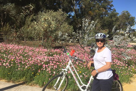 Perth Bike Tour - Beautiful Matilda Bay And Kings Park - Newcastle Accommodation 1