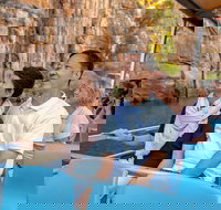 Katherine Day Tour from Darwin including Katherine Gorge Cruise - Newcastle Accommodation