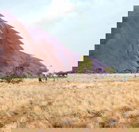 Uluru Sunrise and Guided Base Walk - Newcastle Accommodation