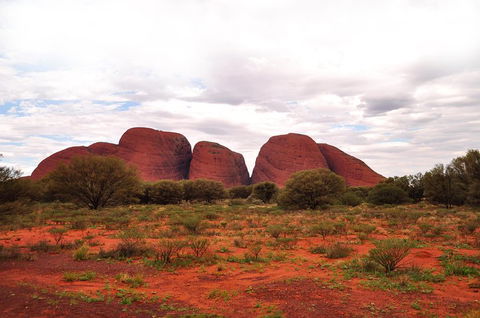 Ayers Rock Combo: Uluru Base And Sunset Plus Uluru Sunrise And Kata Tjuta With An Optional BBQ Dinner Or Kings Canyon Day Trip - Newcastle Accommodation 1