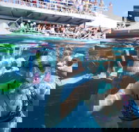 Great Barrier Reef Day Cruise from Cairns Including Snorkeling and Marine Biologist Presentation - New Castle Tourism