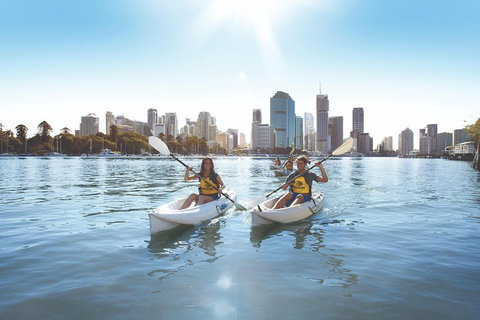 Brisbane Kayak Tour - Newcastle Accommodation 0