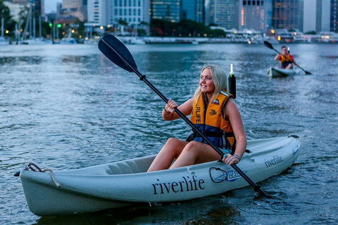 Brisbane Kayak Tour - Newcastle Accommodation 2